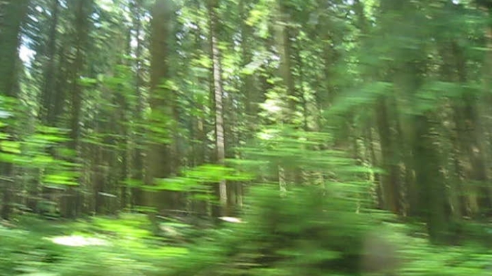 video_thumbnail