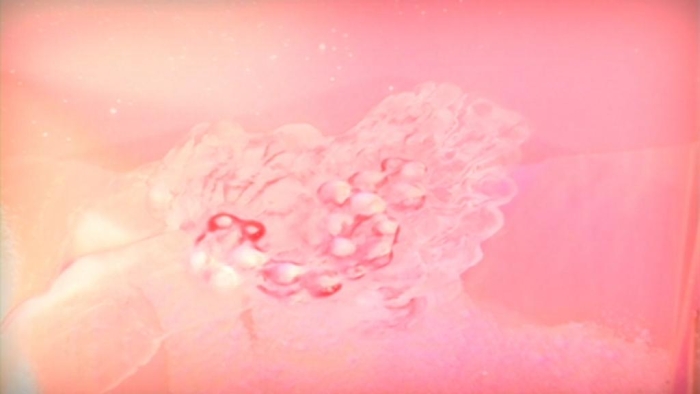 video_thumbnail