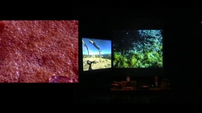 video_thumbnail