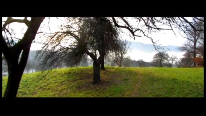 video_thumbnail