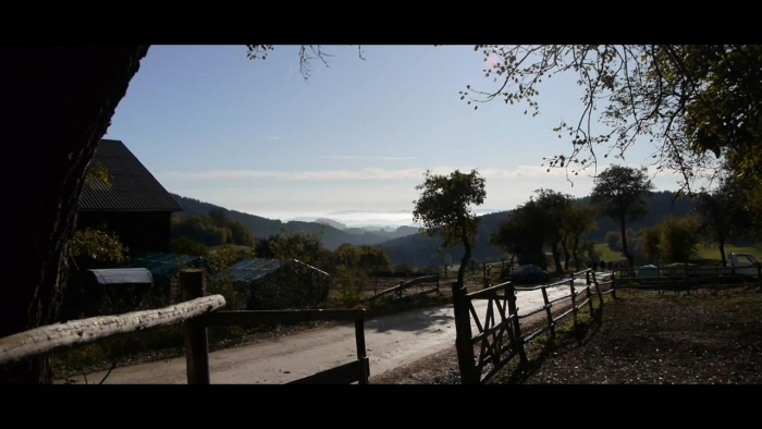 video_thumbnail