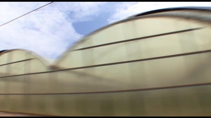 video_thumbnail