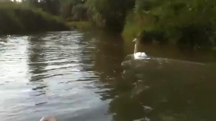video_thumbnail