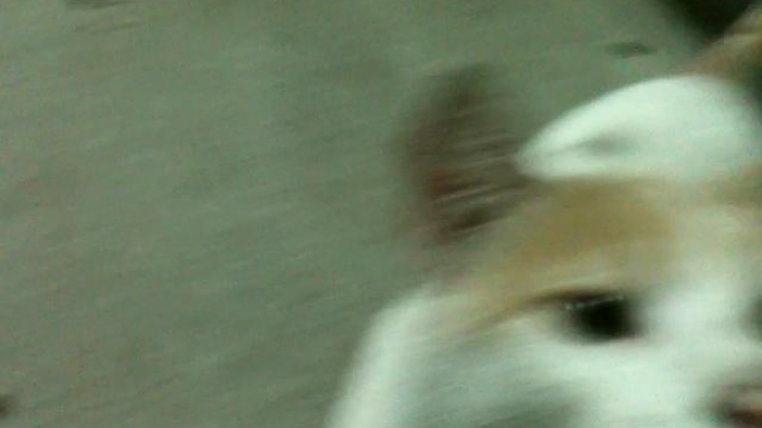 video_thumbnail