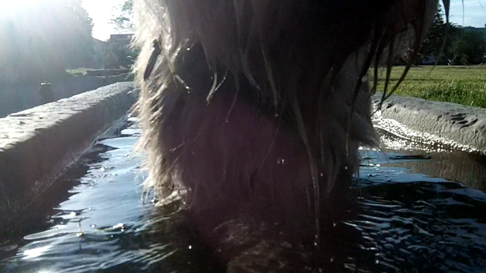 video_thumbnail