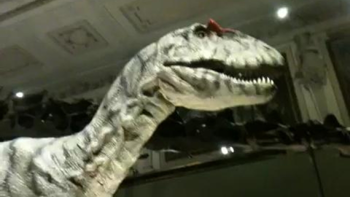 video_thumbnail