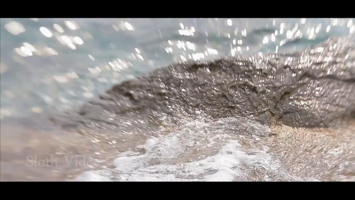 video_thumbnail