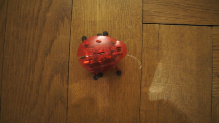 video_thumbnail