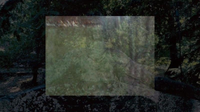 video_thumbnail