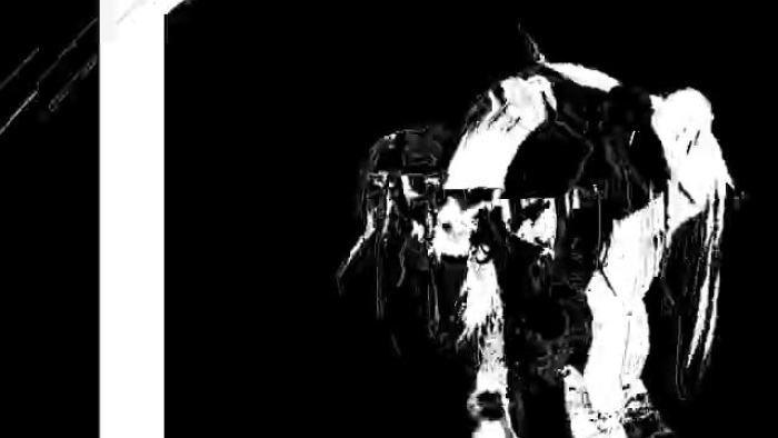 video_thumbnail