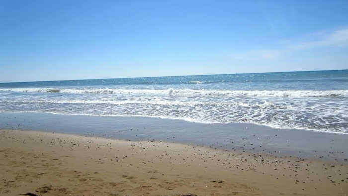 video_thumbnail