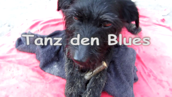 video_thumbnail