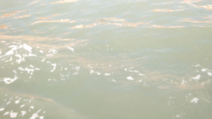 video_thumbnail