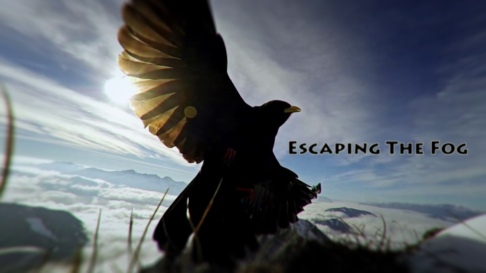 video_thumbnail