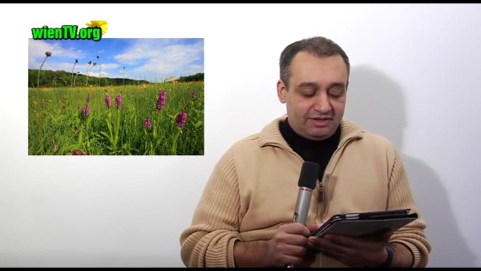 video_thumbnail