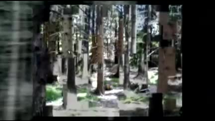 video_thumbnail