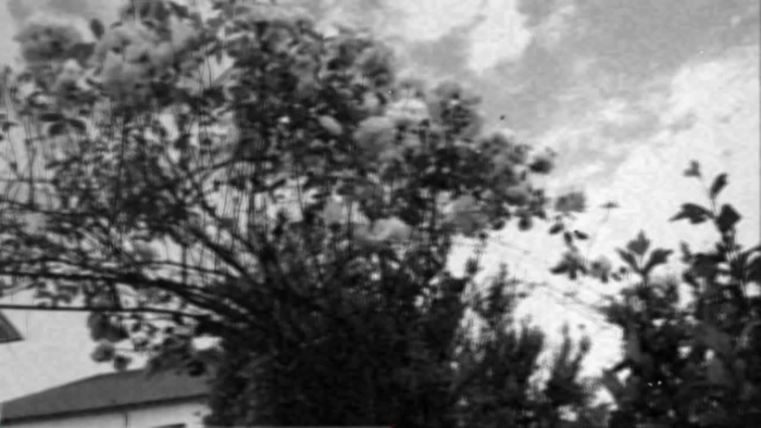 video_thumbnail