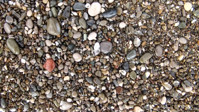 video_thumbnail