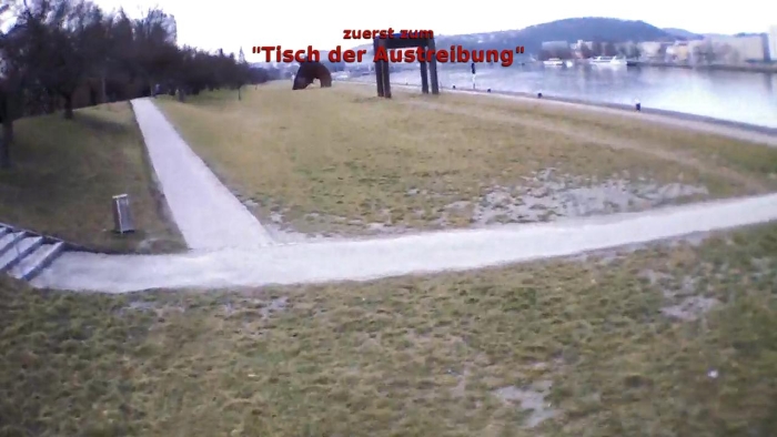 video_thumbnail