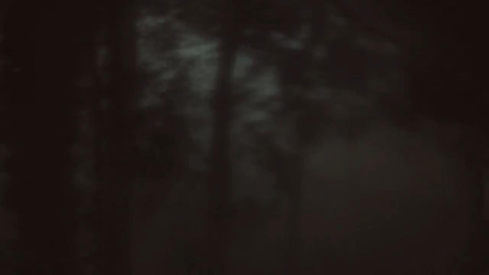 video_thumbnail