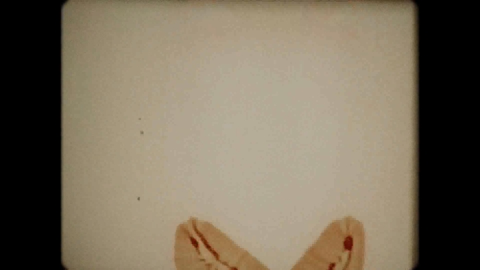 video_thumbnail