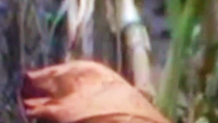 video_thumbnail