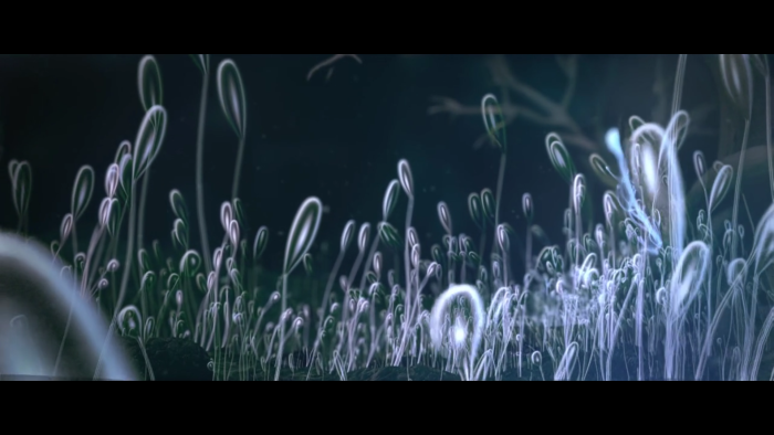 video_thumbnail