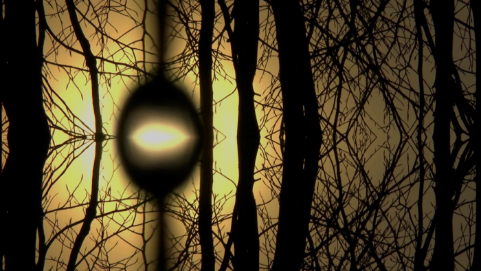 video_thumbnail