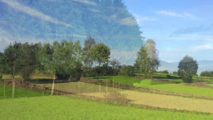 video_thumbnail