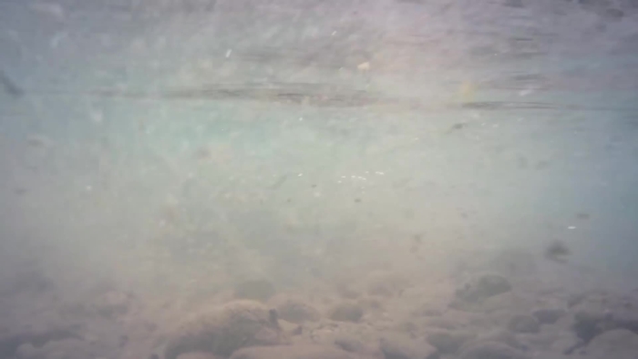 video_thumbnail