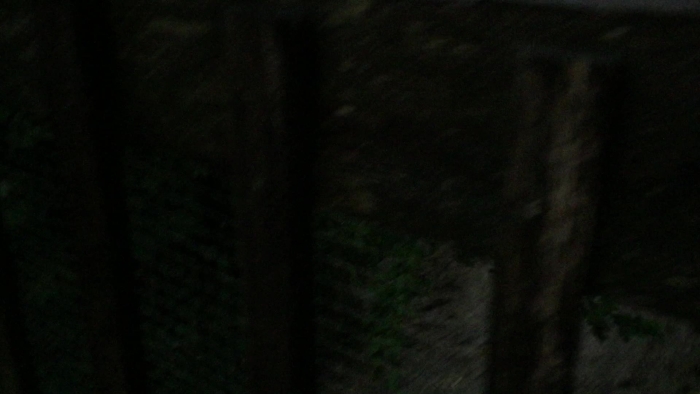 video_thumbnail