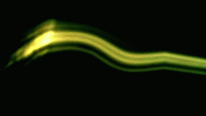 video_thumbnail