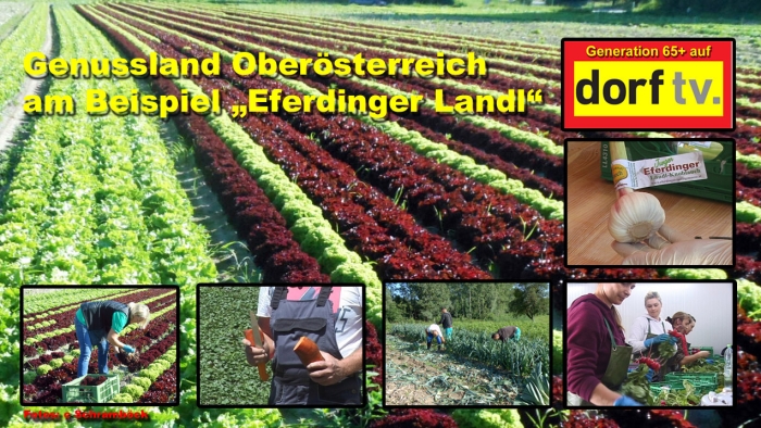 video_thumbnail