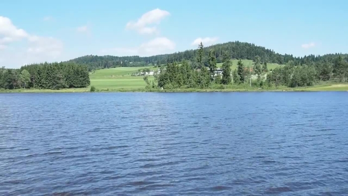 video_thumbnail