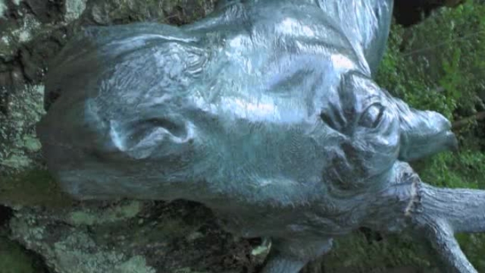 video_thumbnail