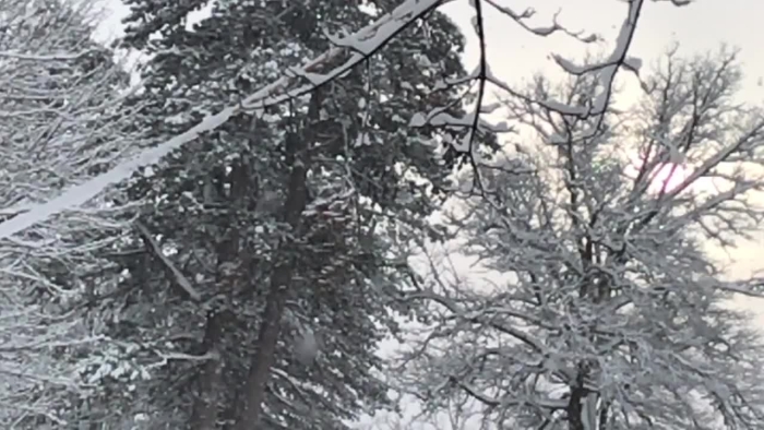 video_thumbnail