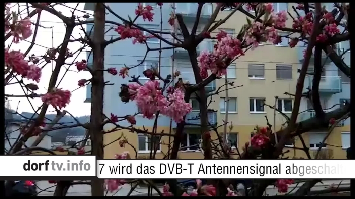 video_thumbnail