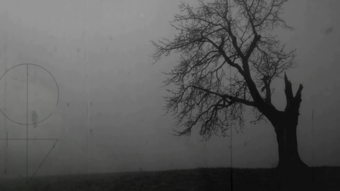 video_thumbnail