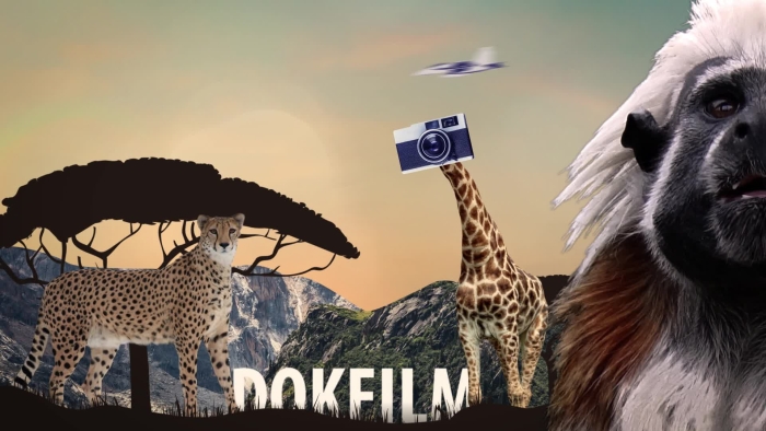 video_thumbnail