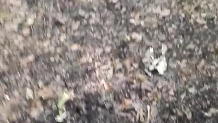 video_thumbnail