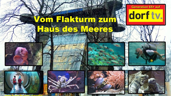 video_thumbnail