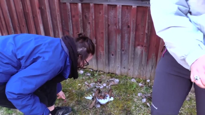 video_thumbnail