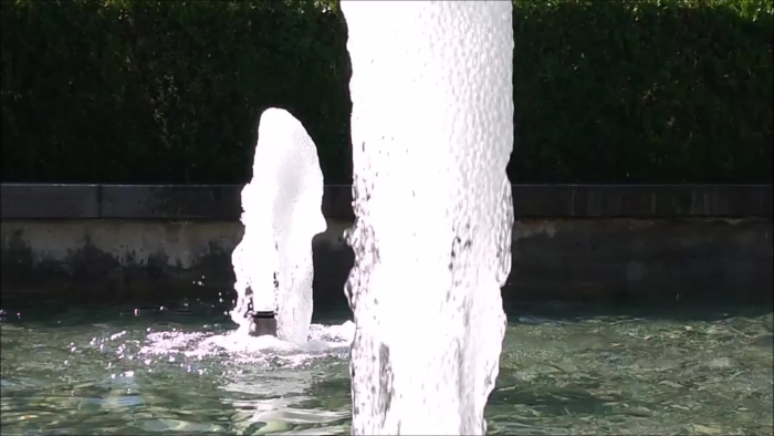 video_thumbnail
