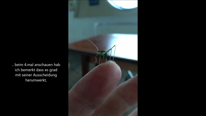 video_thumbnail