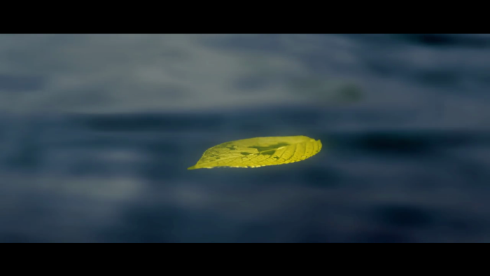 video_thumbnail