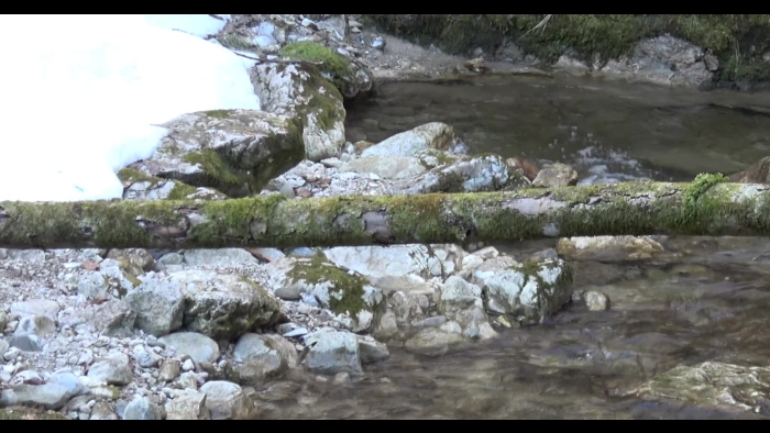 video_thumbnail