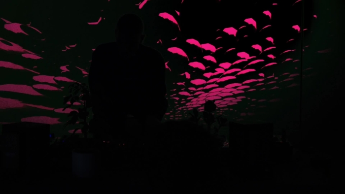 video_thumbnail