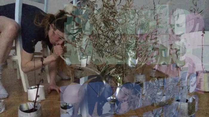 video_thumbnail