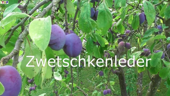 video_thumbnail