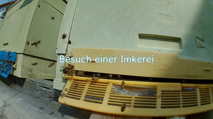video_thumbnail